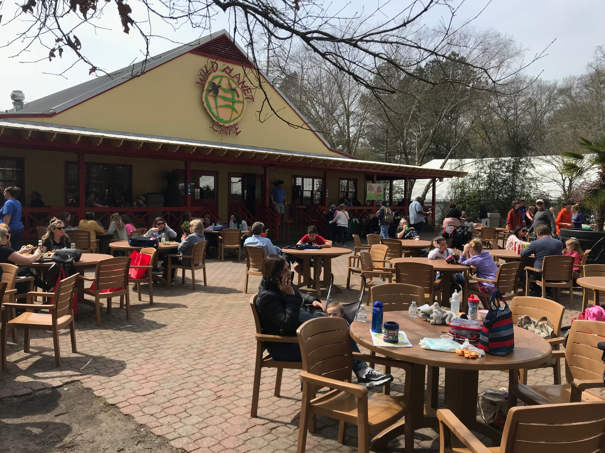 Zoo Atlanta Food Options, Zoo Atlanta, Zoo Atlanta Eats, Visiting Zoo Atlanta Tips