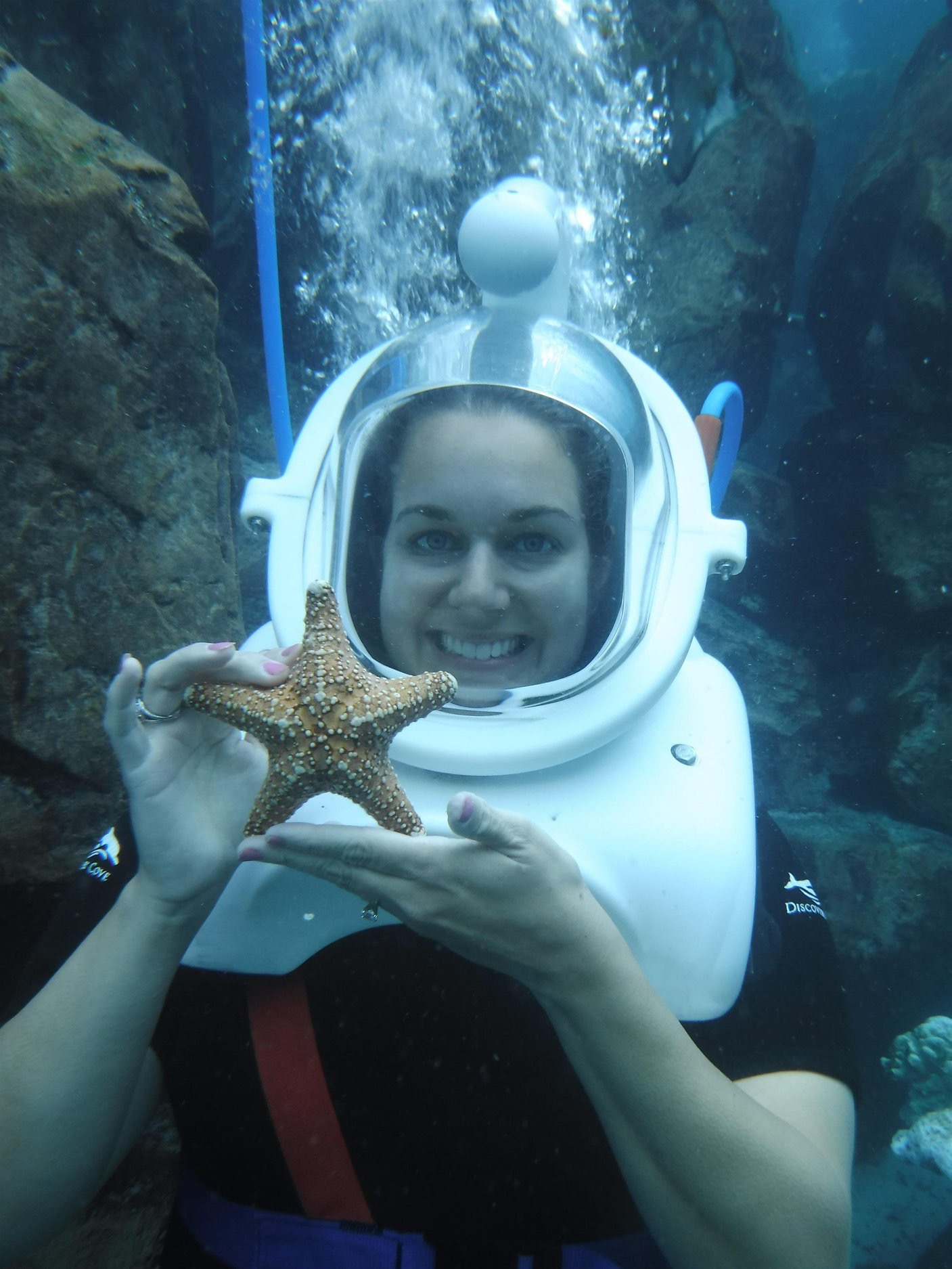 Discovery Cove Guide, Discovery Cove Upgrades, What Discovery Cove Costs, What's included in Discovery Cove