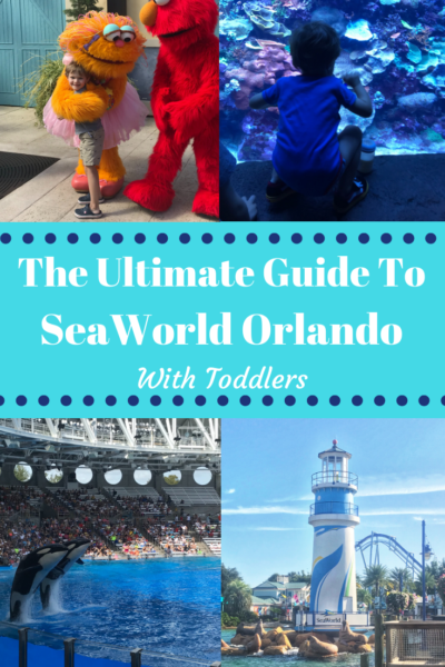 The best SeaWorld Orlando Toddler Attractions! See what's perfect for their height, tips on strollers in the park and attractions they can do! #SeaWorld #SeaWolrdOrlando The best SeaWorld Orlando Toddler Attractions! See what's perfect for their height, tips on strollers in the park and attractions they can do! #SeaWorld #SeaWolrdOrlando