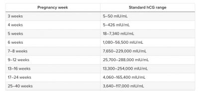 HCG Levels While Pregnant, First Pre-Natal Appointment HCG Levels While Pregnant, First Pre-Natal Appointment