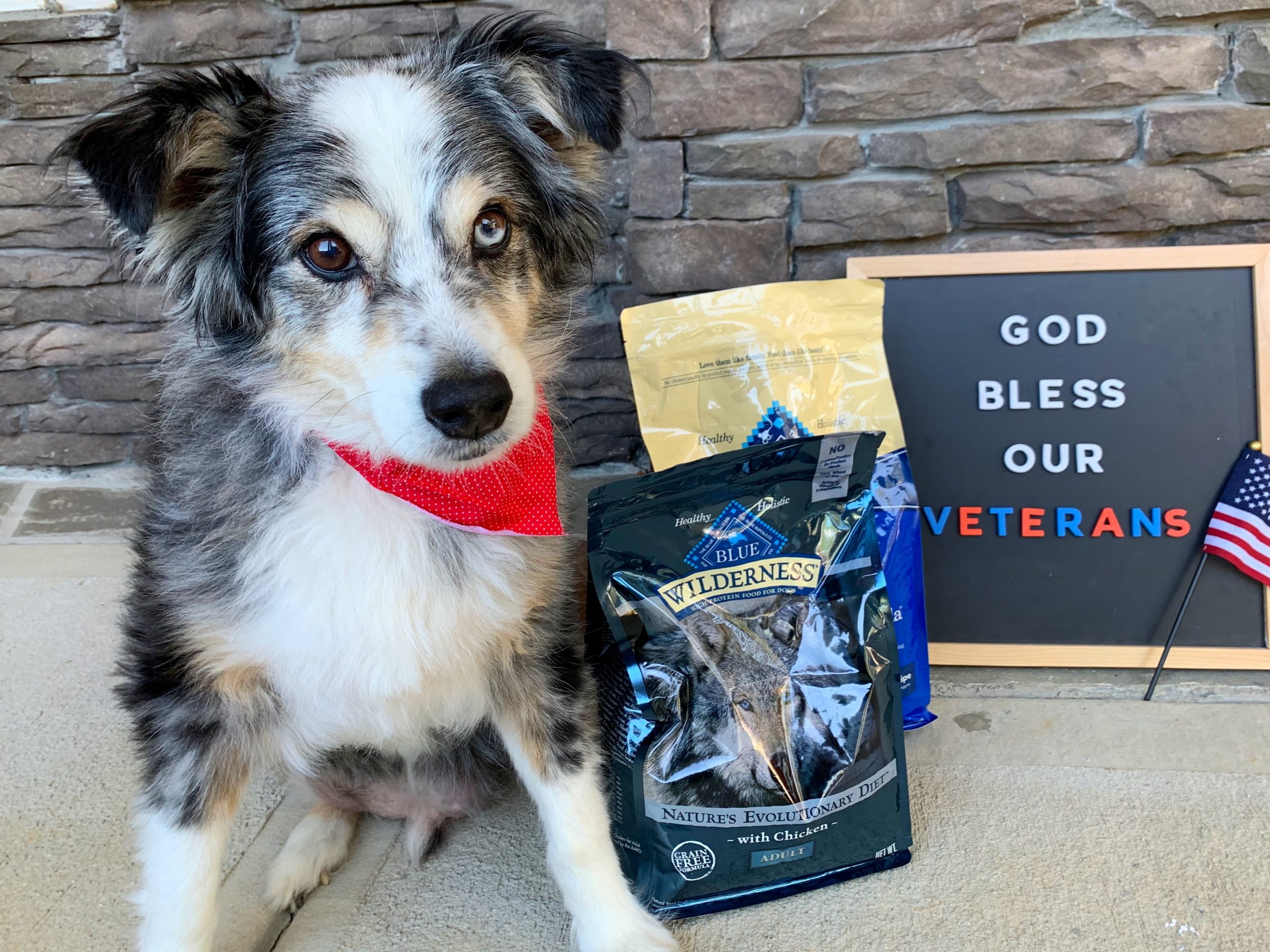BLUE Buffalo Dog Food For Seniors