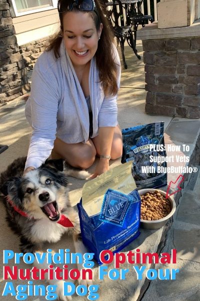 #AD See how BLUE Buffalo® provides proper nutrition to aging dogs with their special food formulas, AND how the brand supports veterans for the month of November - with a partnership together alongside Sierra Delta. #BLUESierraDelta #AD See how BLUE Buffalo® provides proper nutrition to aging dogs with their special food formulas, AND how the brand supports veterans for the month of November - with a partnership together alongside Sierra Delta. #BLUESierraDelta