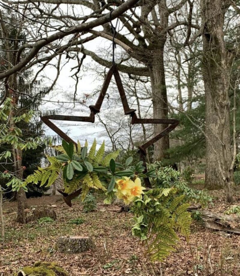 Wildflower Garden Roanoke, VA